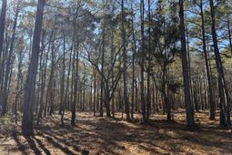 263 Brewer Road photo 4