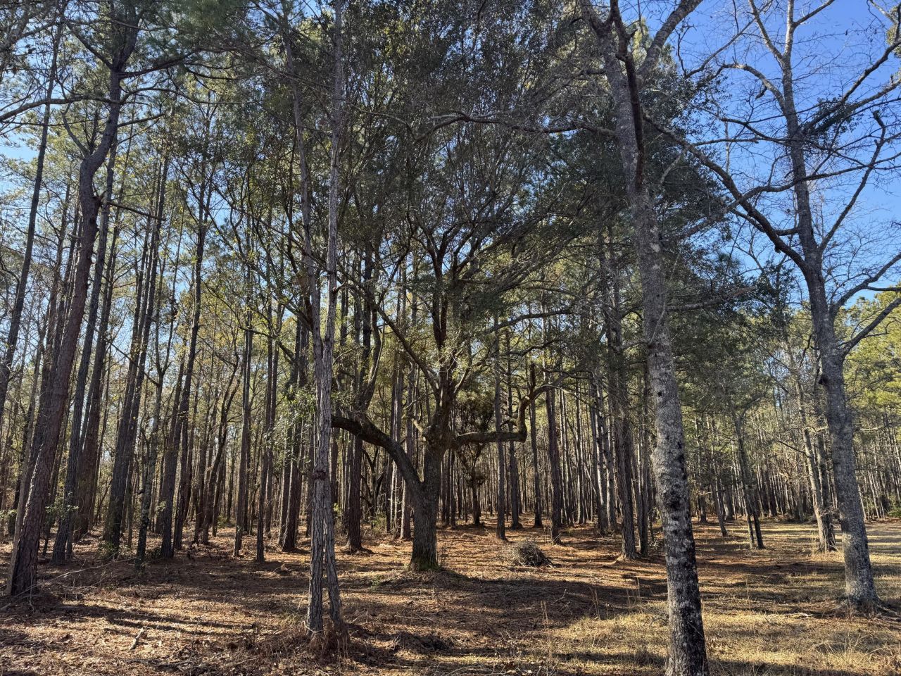 263 Brewer Road Photo 5