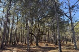 263 Brewer Road photo 4