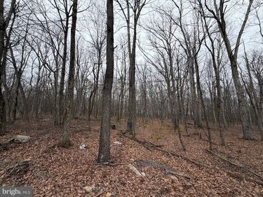 519 HAYSTACK DRIVE, ZION GROVE, PA 17985