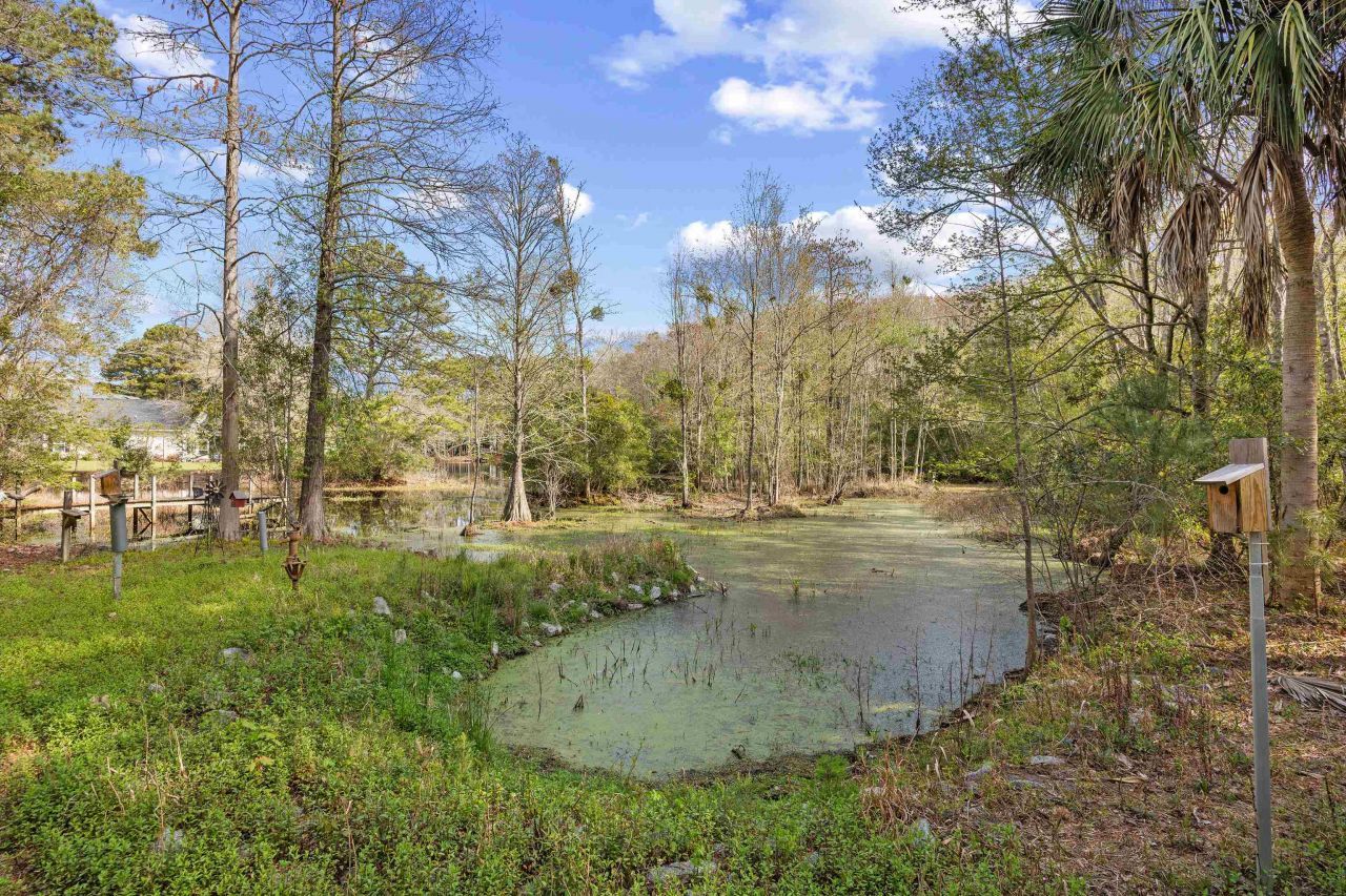 225 Red Maple Dr. Photo 36