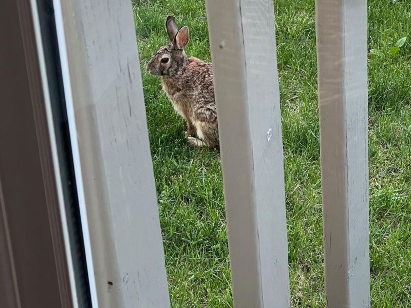 4042 Blendon Point Drive, Unit 57A, Columbus, OH 43230 Photo 44