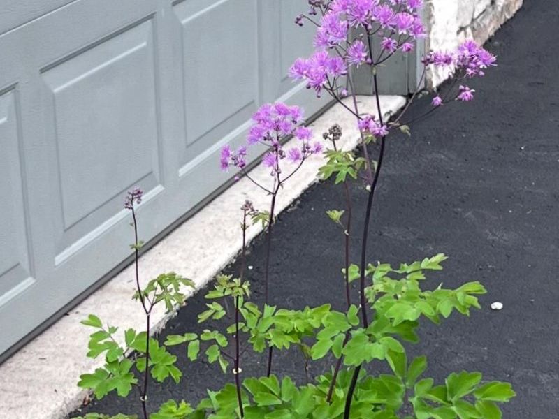 4042 Blendon Point Drive, Unit 57A, Columbus, OH 43230 Photo 45