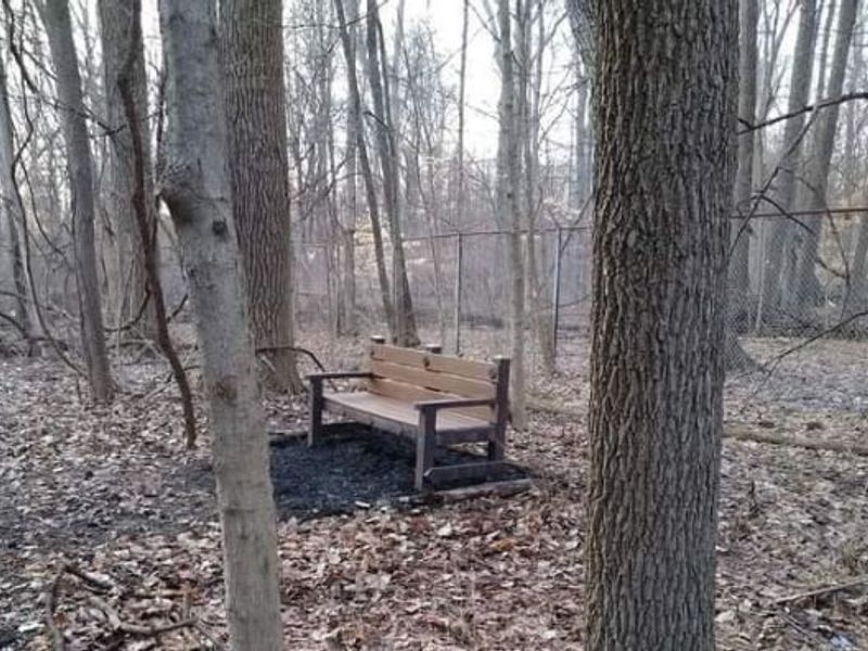 4042 Blendon Point Drive, Unit 57A, Columbus, OH 43230 Photo 48