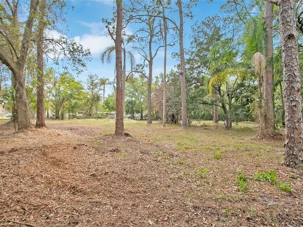 806 SAINT NICHOLAS AVENUE , CHRISTMAS, FL 32709