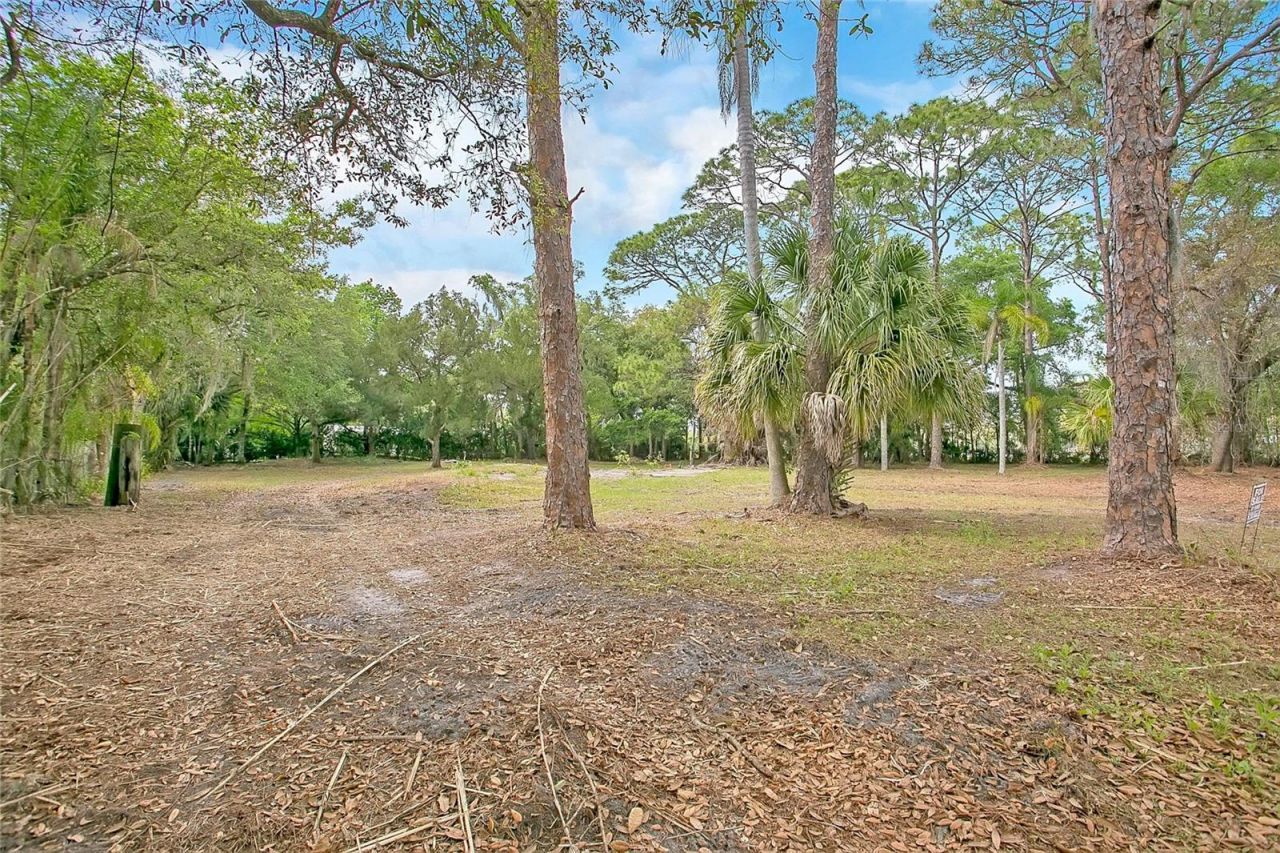 806 Saint Nicholas Avenue , Christmas, FL 32709 Photo