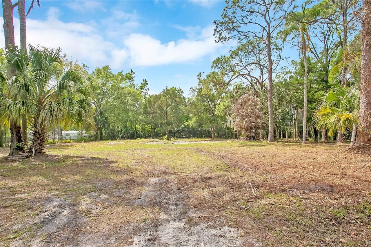 806 Saint Nicholas Avenue , Christmas, FL 32709 Photo