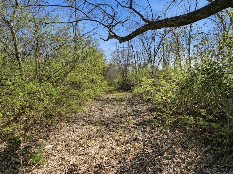 7628 Lesourdsville West Chester Road, West Chester, OH 45069 Photo 60