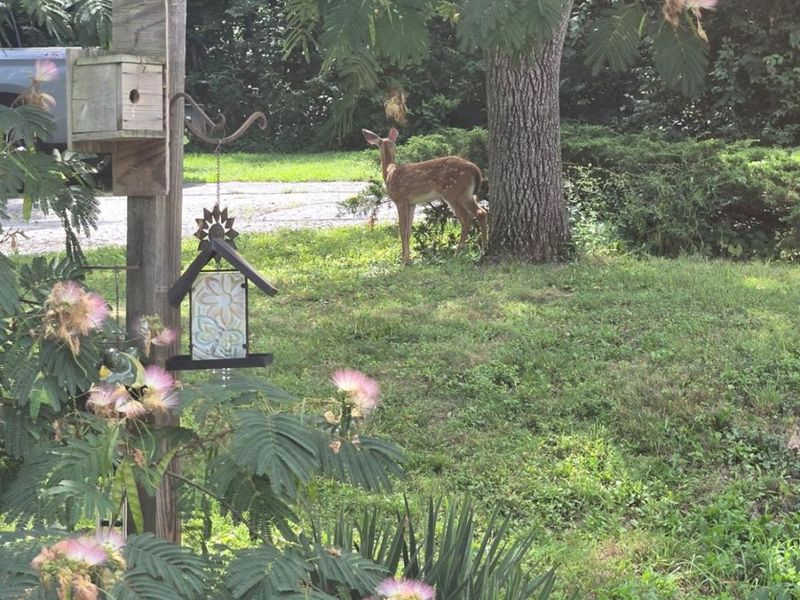 7628 Lesourdsville West Chester Road, West Chester, OH 45069 Photo 65