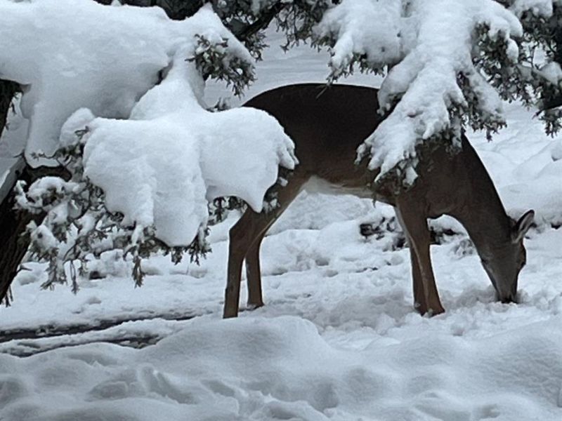 7628 Lesourdsville West Chester Road, West Chester, OH 45069 Photo 67