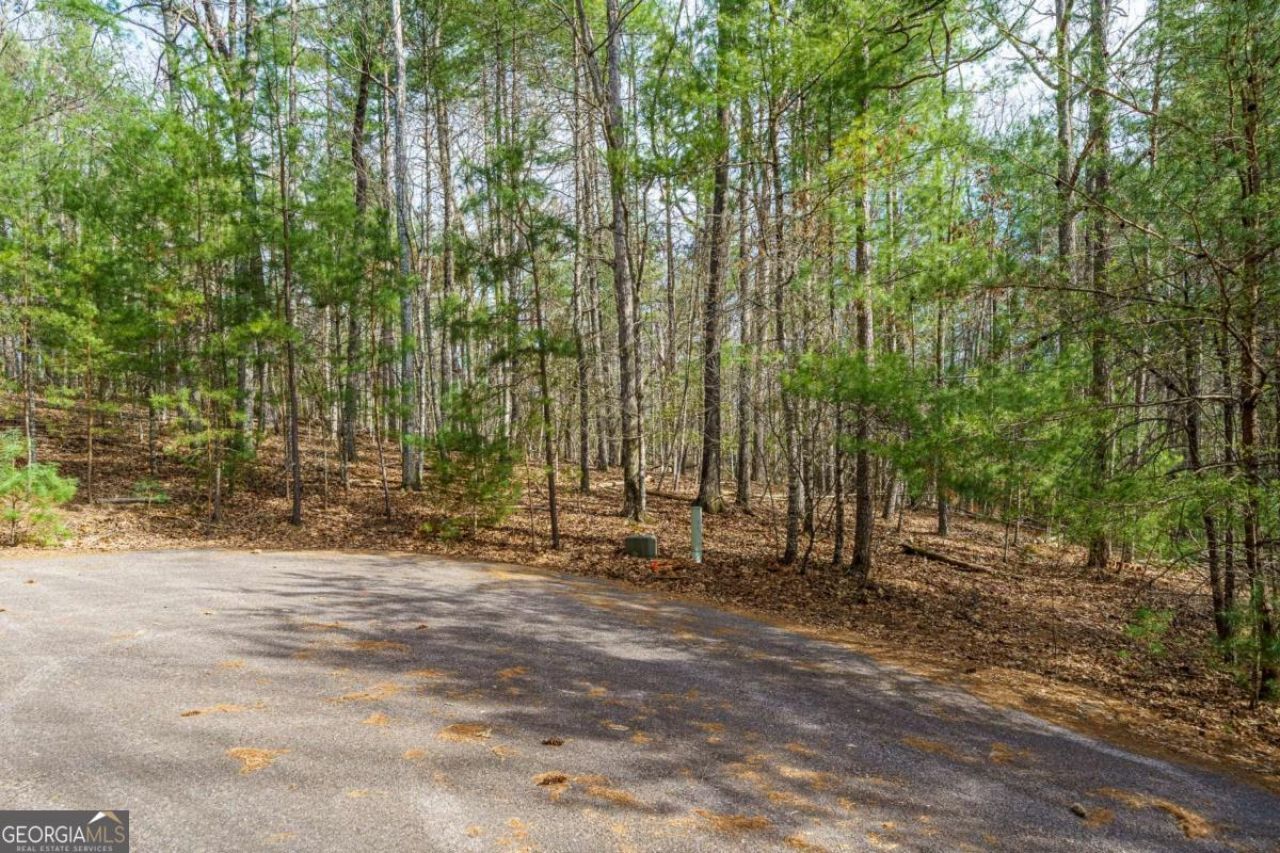 Lot 6 Hampton Road, Lot #6, Morganton, GA 30560 Main Photo