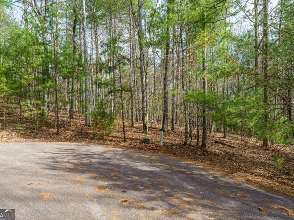 LOT 6 Hampton Road, Unit 6, Morganton, GA 30560