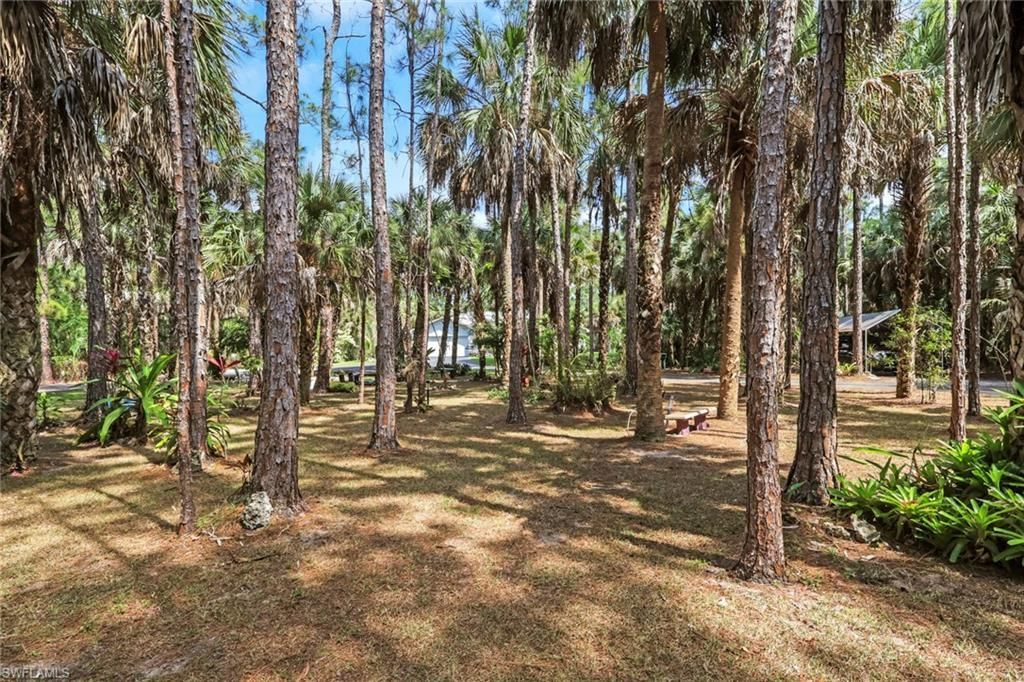 760 1st St Nw, Naples, FL 34120 Photo