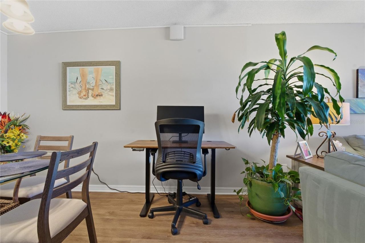7540 Bay Island Drive S, Unit 251, South Pasadena, FL 33707 Photo