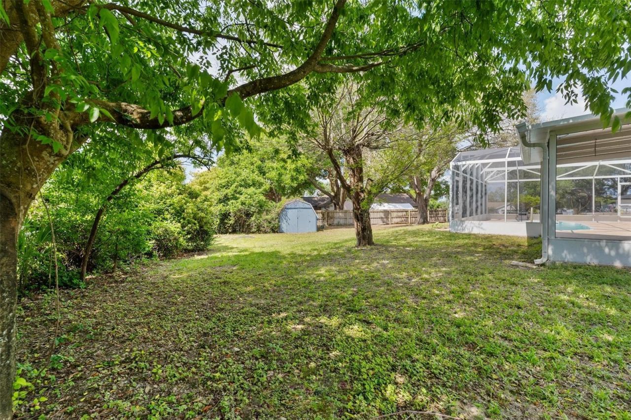 12130 Nest Court, Grand Island, FL 32735 Photo