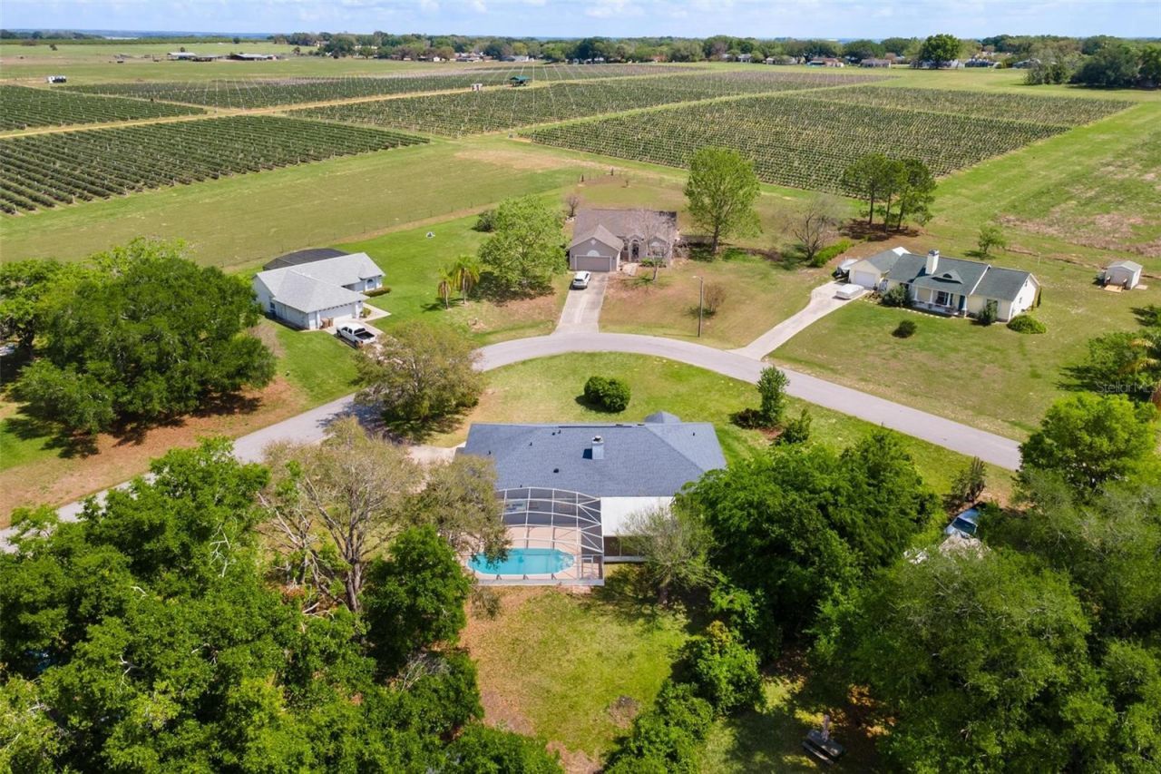 12130 Nest Court , Grand Island, FL 32735 Photo