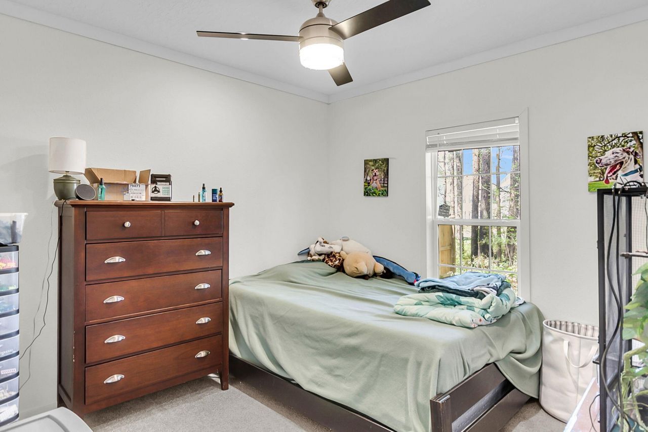 164 Fannie Drive Photo 25