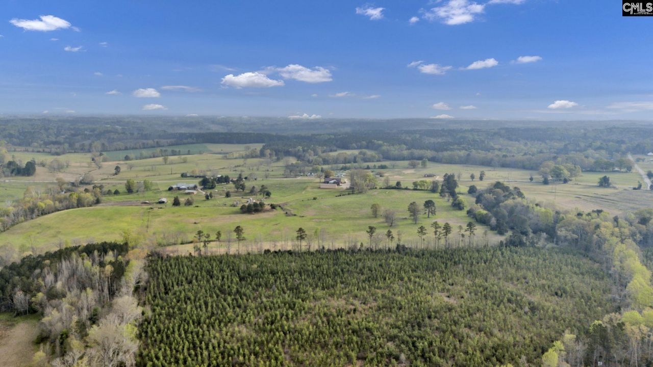 8347 St. Lukes Church Road  Photo 10