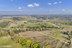 8347 St. Lukes Church Road  photo 4