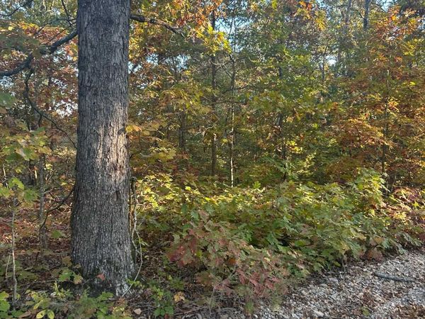 TBD CR 146, Henderson, AR 72544