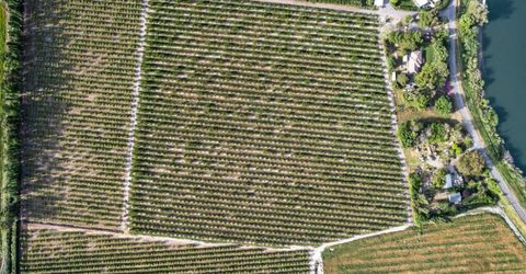 Andrus Island Rd, Isleton, CA 95641 Photo