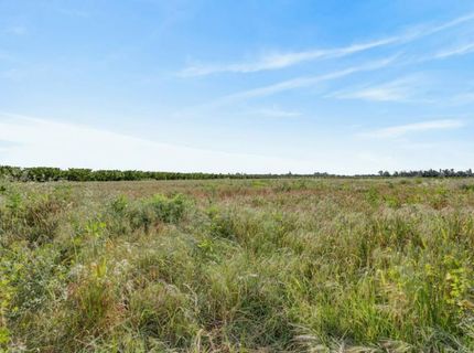 Andrus Island Rd, Isleton, CA 95641 Photo
