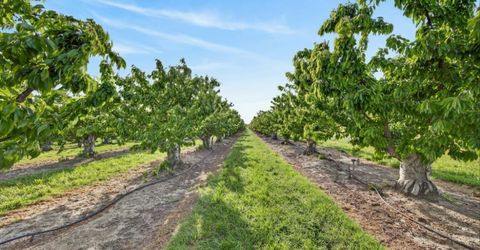 Andrus Island Rd, Isleton, CA 95641 Photo