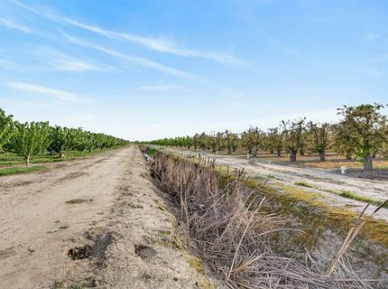 Andrus Island Rd, Isleton, CA 95641 Photo