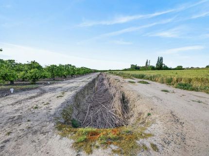 Andrus Island Rd, Isleton, CA 95641 Photo