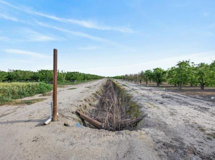 Andrus Island Rd, Isleton, CA 95641 Photo