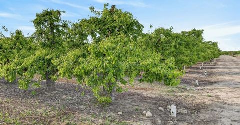 Andrus Island Rd, Isleton, CA 95641 Photo