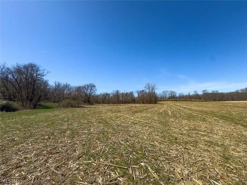 0 Lonesome Road, Thornville, OH 43076 Photo 14