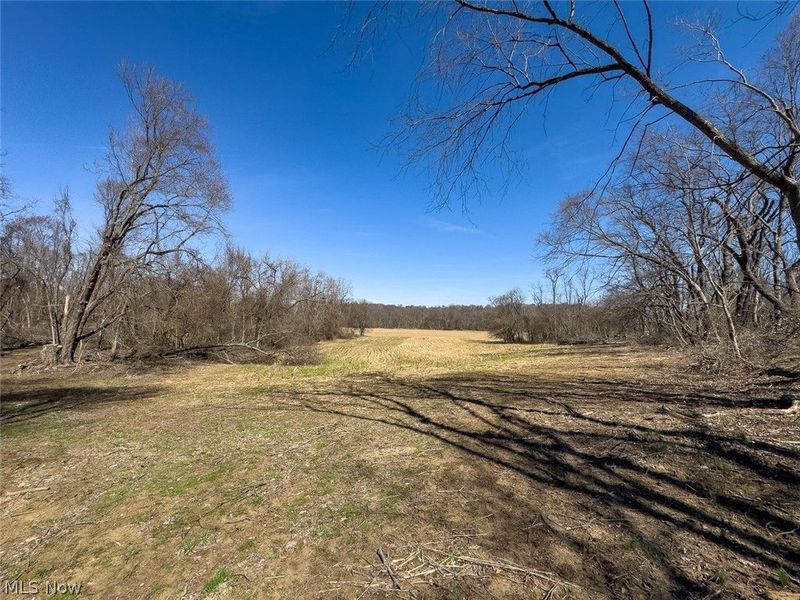 0 Lonesome Road, Thornville, OH 43076 Photo 18