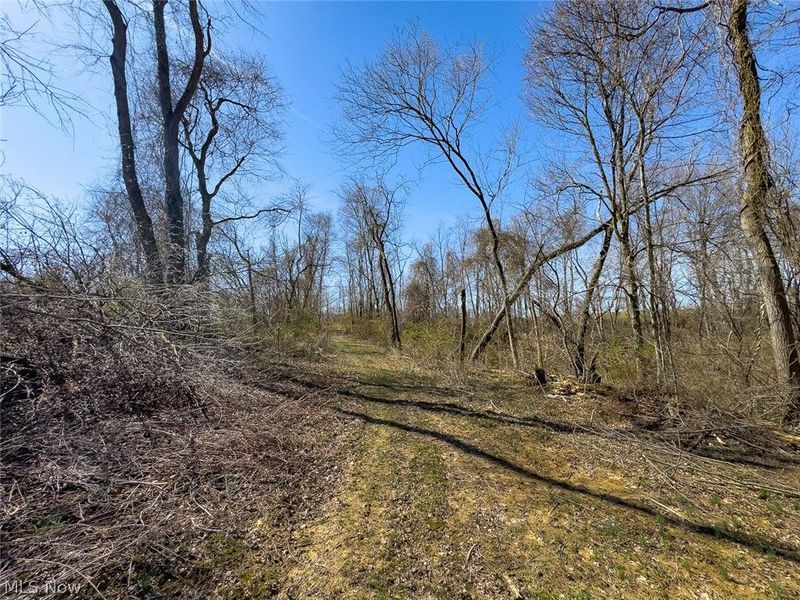 0 Lonesome Road, Thornville, OH 43076 Photo 20