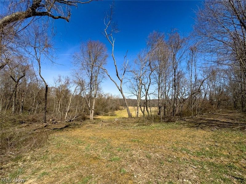 0 Lonesome Road, Thornville, OH 43076 Photo 21