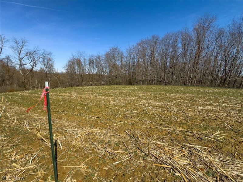 0 Lonesome Road, Thornville, OH 43076 Photo 23