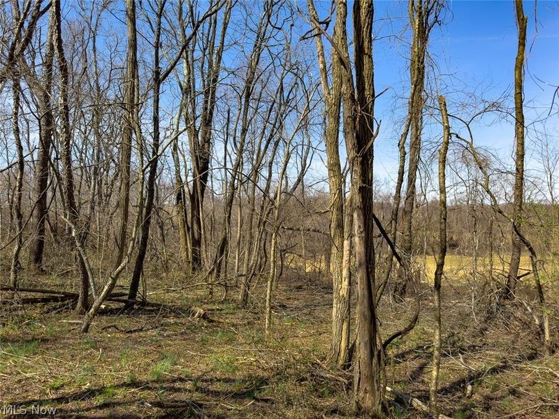 0 Lonesome Road, Thornville, OH 43076 Photo 25