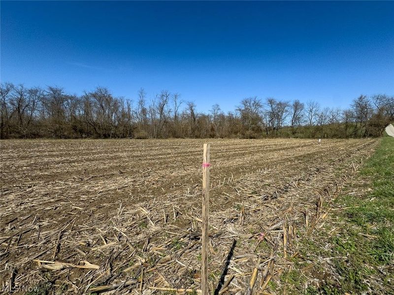 0 Lonesome Road, Thornville, OH 43076 Photo 4