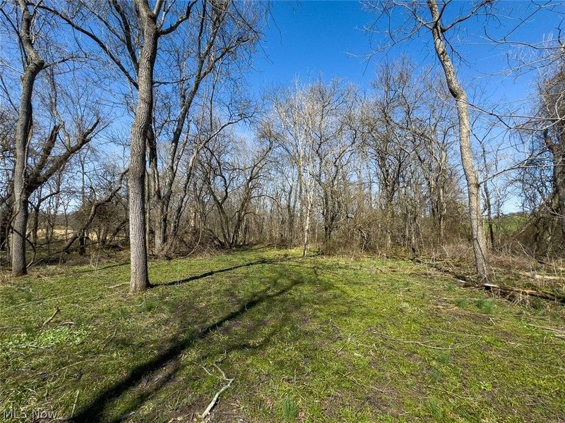 0 Lonesome Road, Thornville, OH 43076 Photo 8