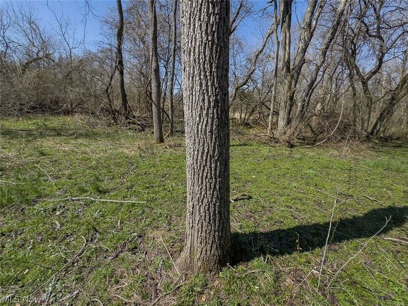 0 Lonesome Road, Thornville, OH 43076 Photo 9