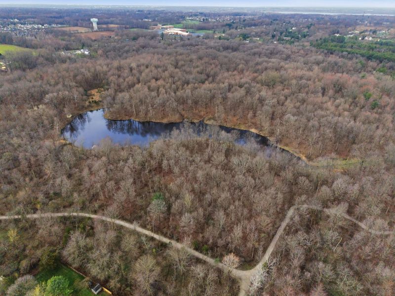 8305 Beech Avenue, Galena, OH 43021 Photo 33