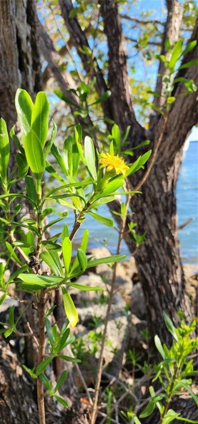 15585 SW 76th Ln, Unit A81-8, Miami, FL 33193 Photo