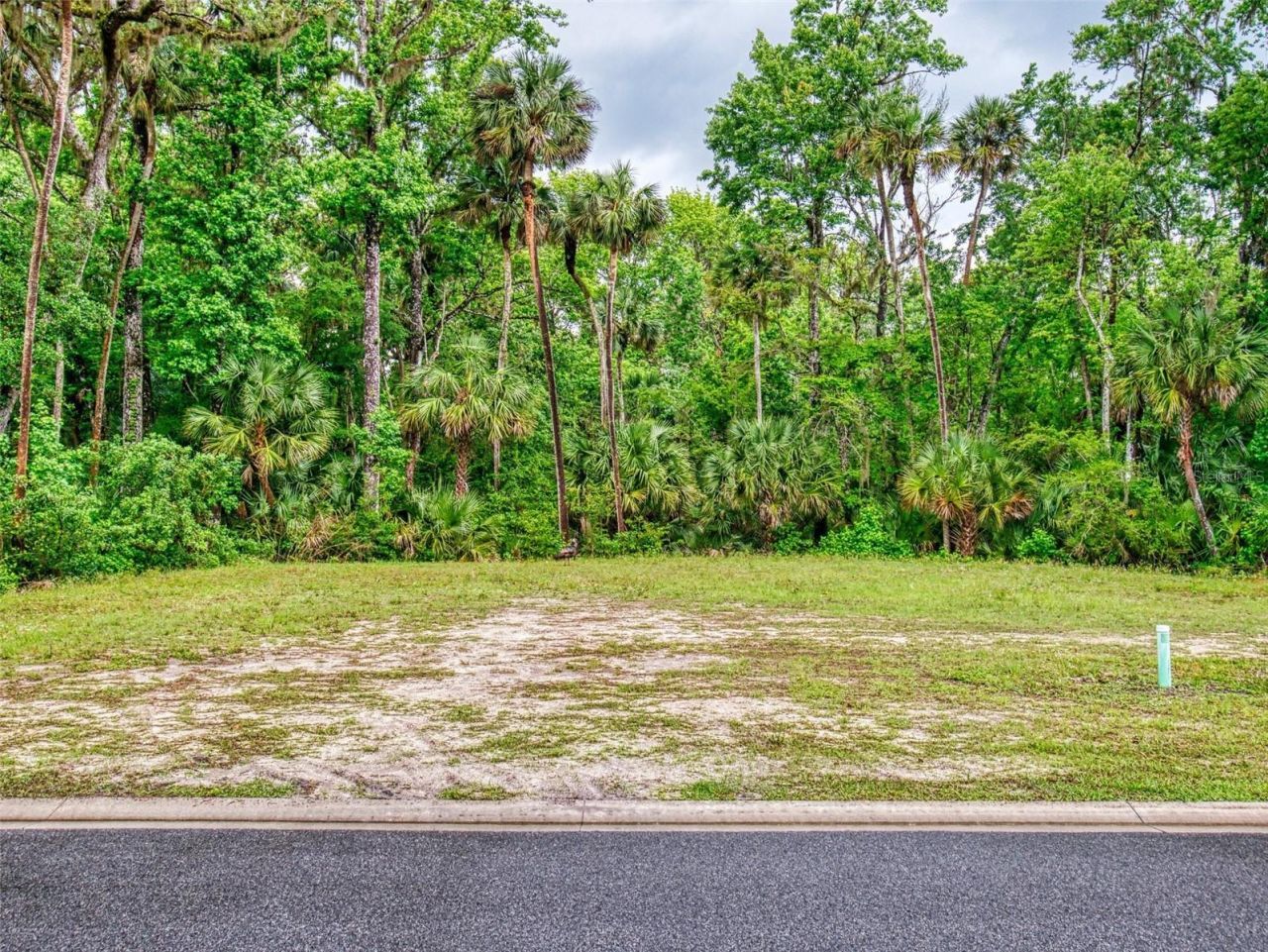 2329 Legacy Lane , New Smyrna Beach, FL 32168 Photo