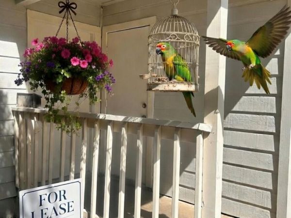 9603 Nightjar DR, Unit A, Austin, TX 78748