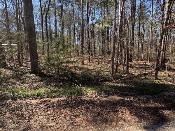 00 Muriel Drive , Vance, AL 35490