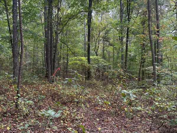 3826 Salacoa-Tract C, Waleska, GA 30183