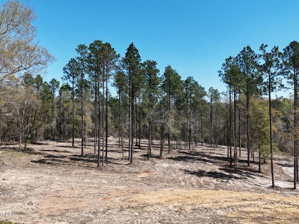 Nhn Yankee Road, Lucedale, MS 39452