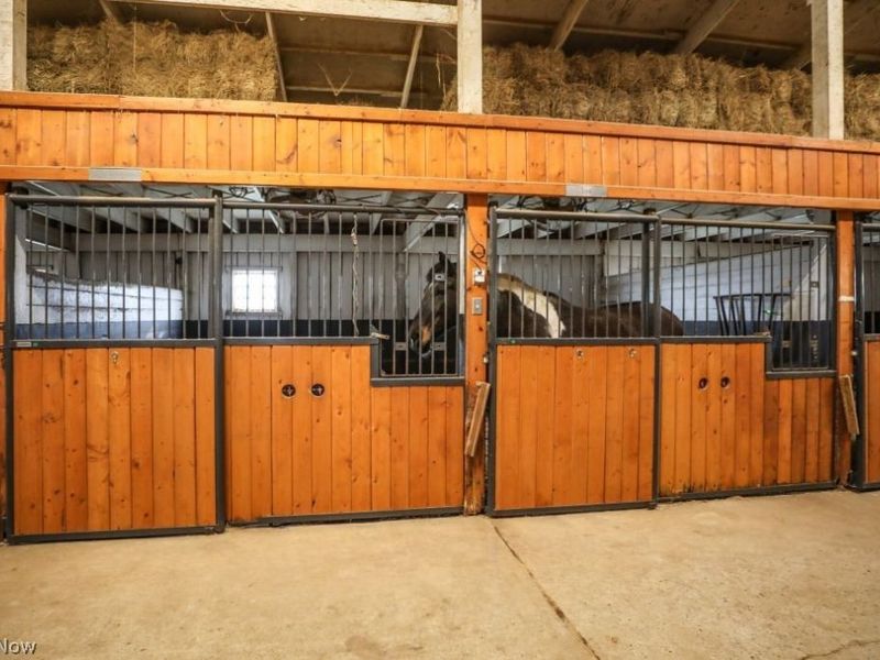 7821 Ferguson Road, Streetsboro, OH 44241 Photo 19