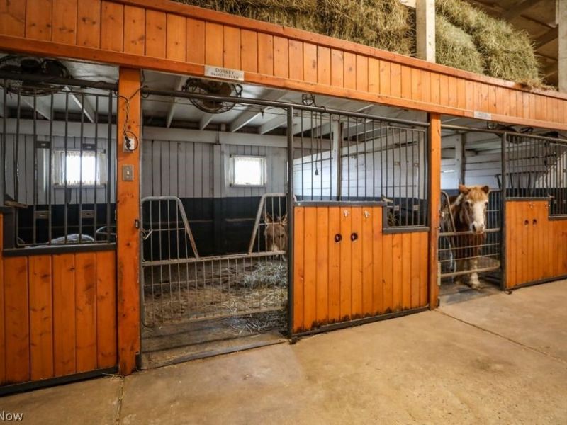 7821 Ferguson Road, Streetsboro, OH 44241 Photo 21