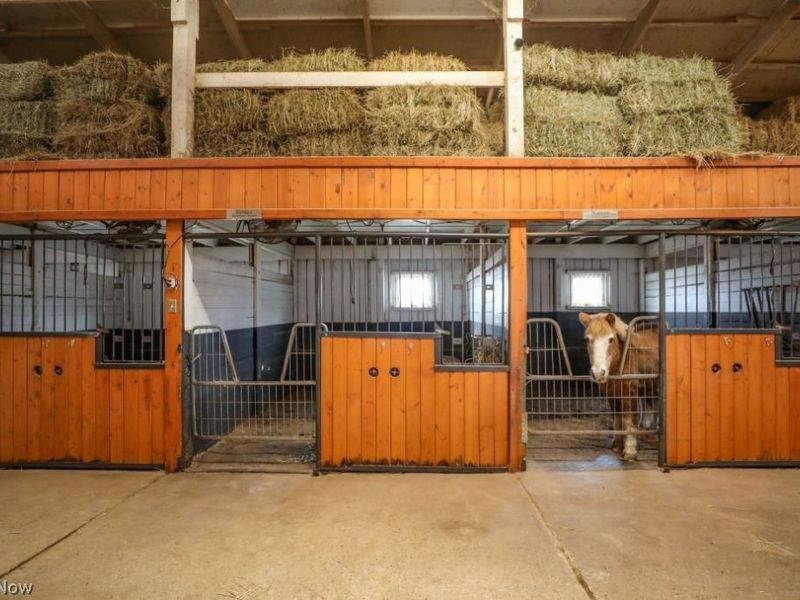 7821 Ferguson Road, Streetsboro, OH 44241 Photo 22